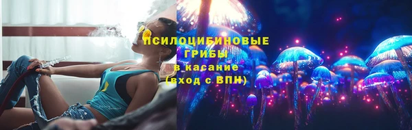 таблы Няндома