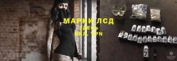 индика Нягань