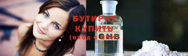 индика Нягань