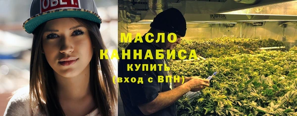 индика Нягань