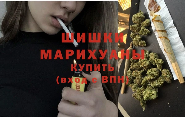 индика Нягань