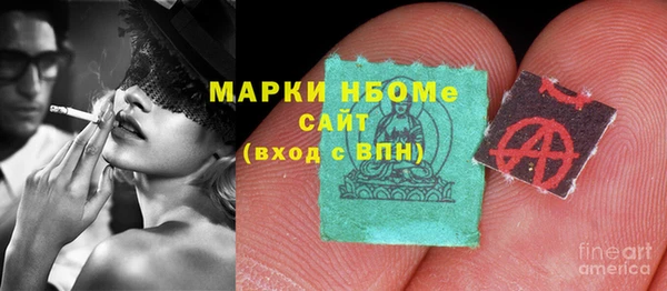 индика Нягань