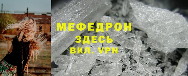 индика Нягань