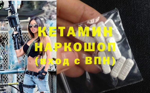 индика Нягань