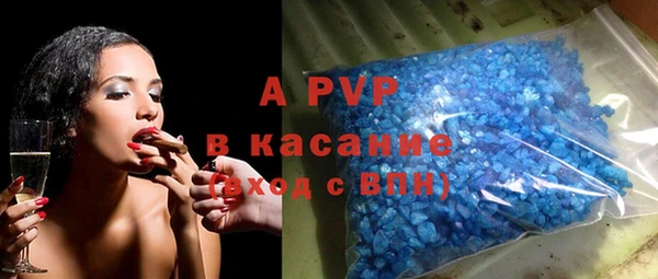 индика Нягань