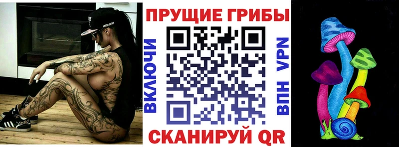 Галлюциногенные грибы Psilocybine cubensis  Суоярви 